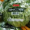 JA安房「千葉まごころ野菜 レタス」