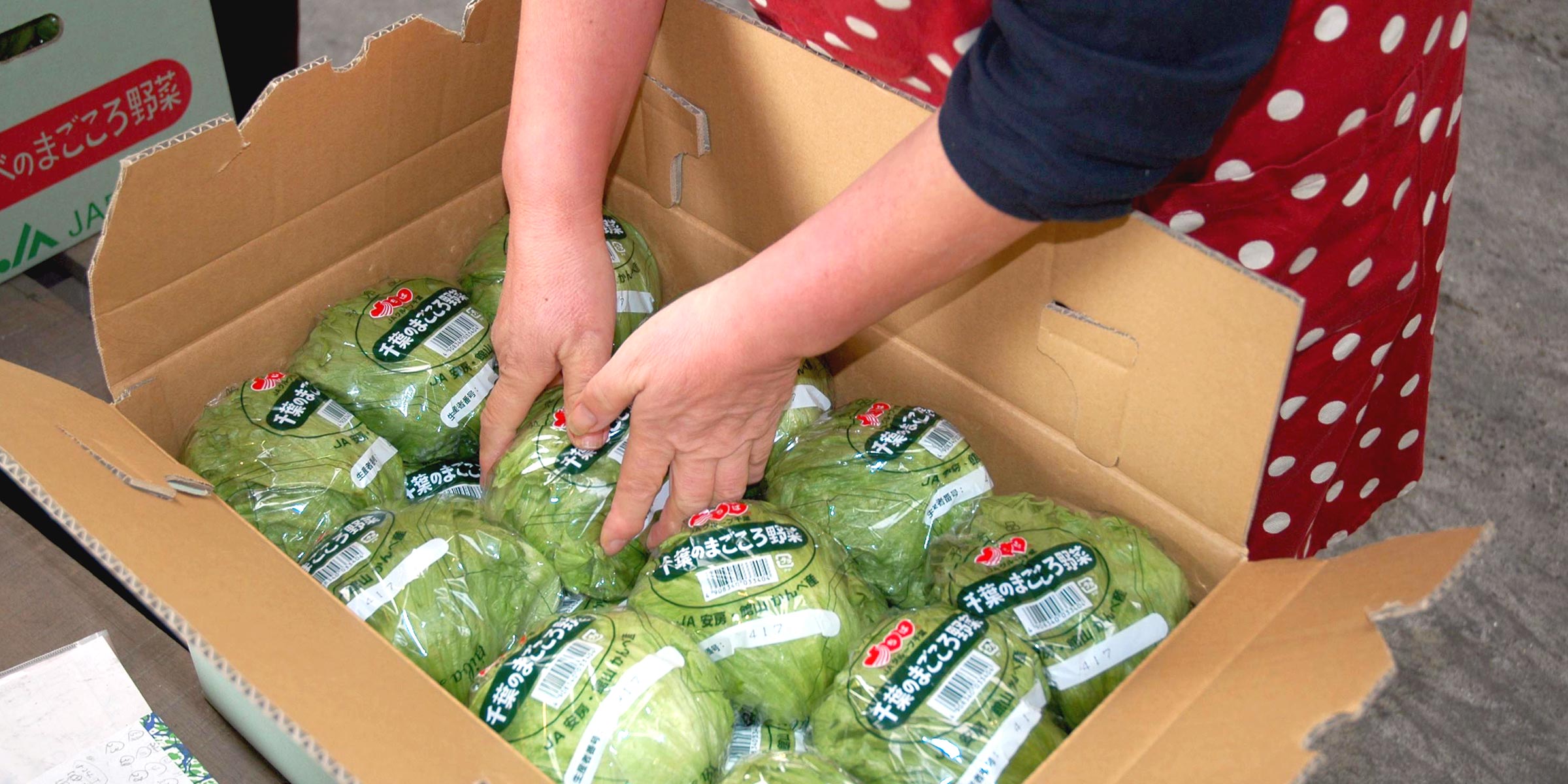 農産物トレーサビリティ