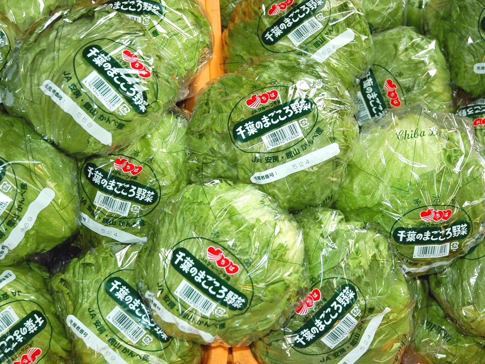 農産物トレーサビリティ